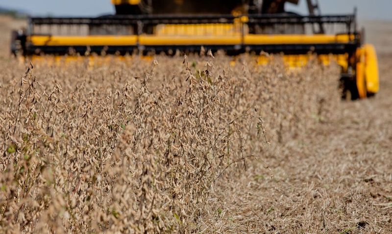Produção de soja deve crescer 19,1% e puxar safra de 2023, prevê IBGE