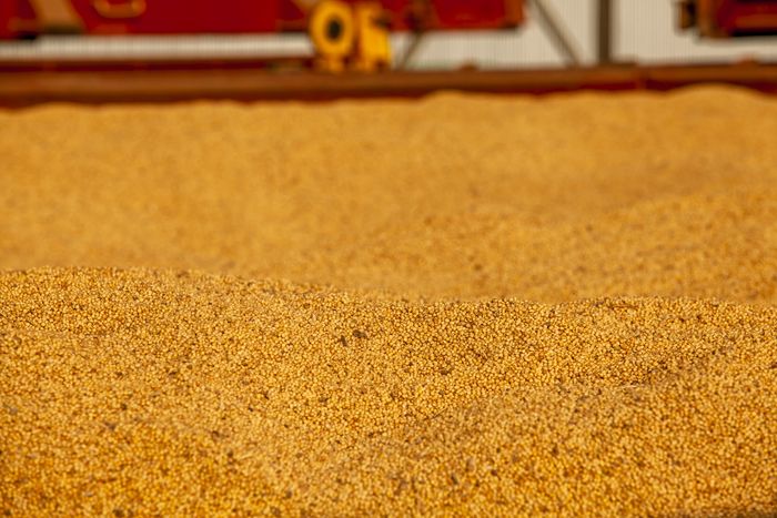 Abiove: normalização da mistura de biodiesel elevaria oferta de farelo em 4 mi toneladas