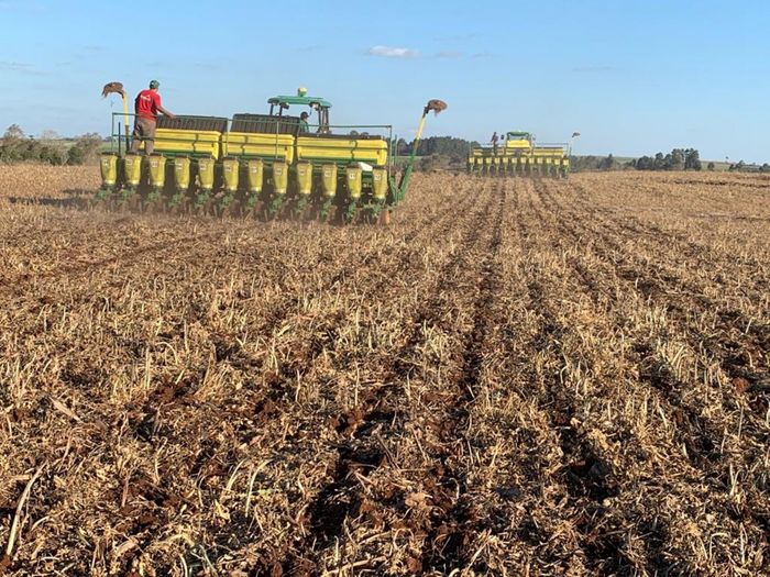 Plantio de soja vai a 87% com persistência de pontos secos no Centro-Oeste, diz AgRural