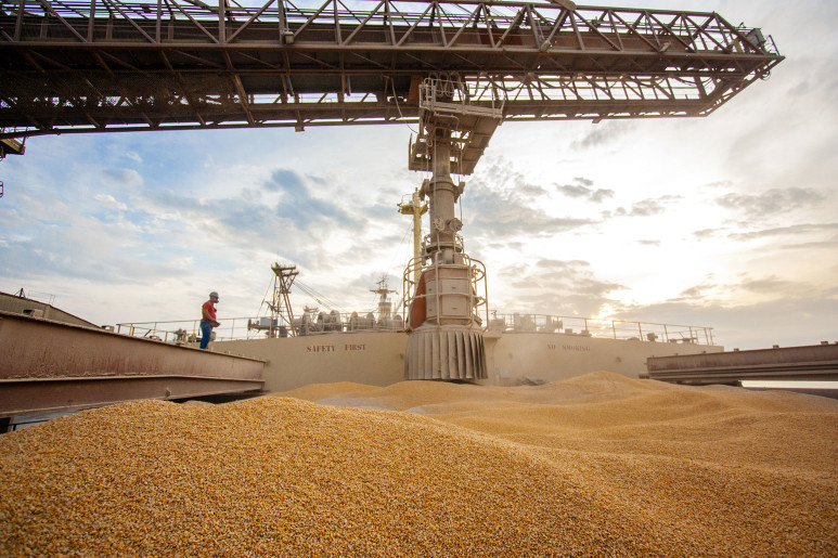 Brasil exportou 2,64 milhões de toneladas de soja em novembro