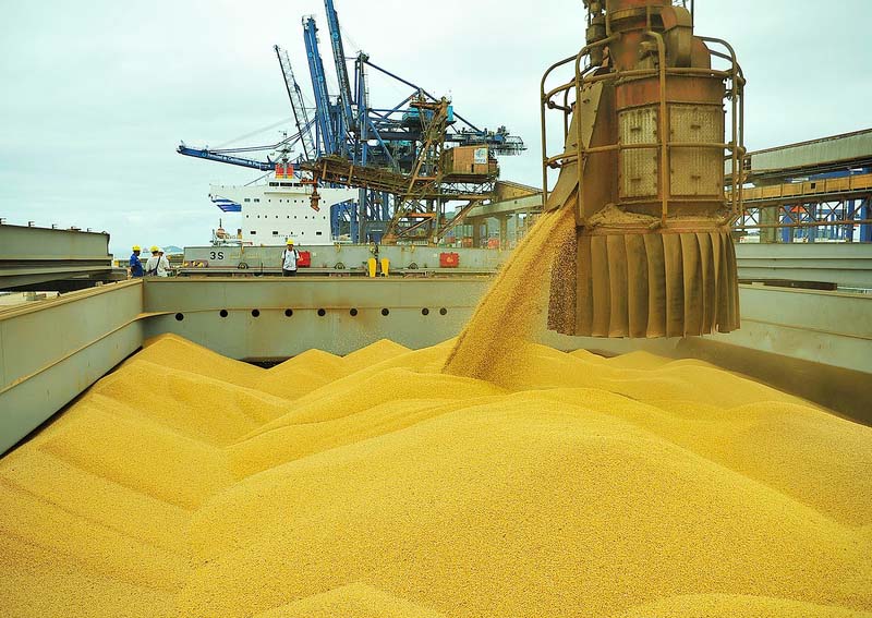 Abiove atualiza estimativa de safra para 152,6 milhões de toneladas