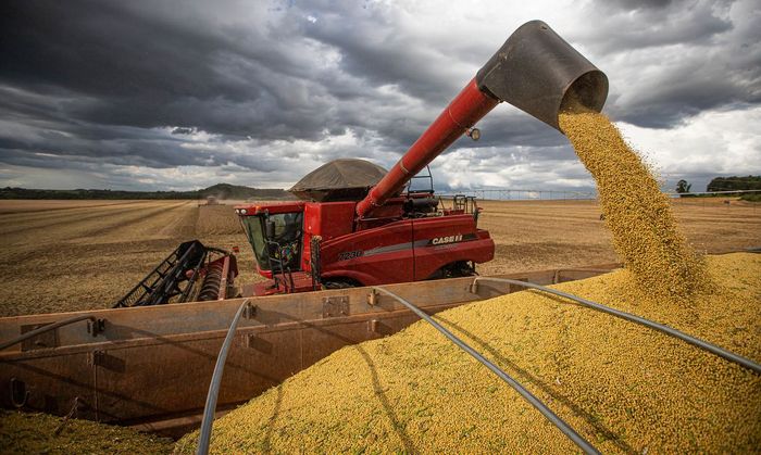 Biodiesel: aumento na mistura deve estimular esmagamento de soja, avalia Conab