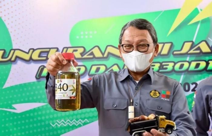 Indonésia começa a usar B35 a partir do dia 1º de fevereiro 