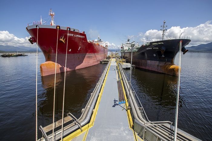 BSBios exportou biodiesel para os Estados Unidos em fevereiro