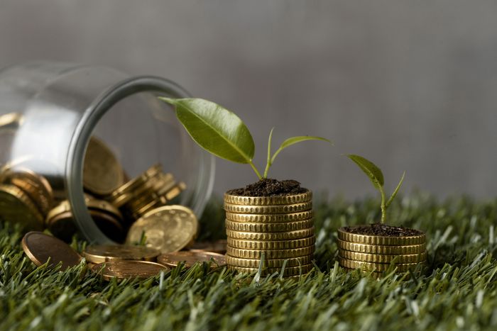 Novo estudo para aprimoramento do RenovaBio deve ampliar mercado de carbono