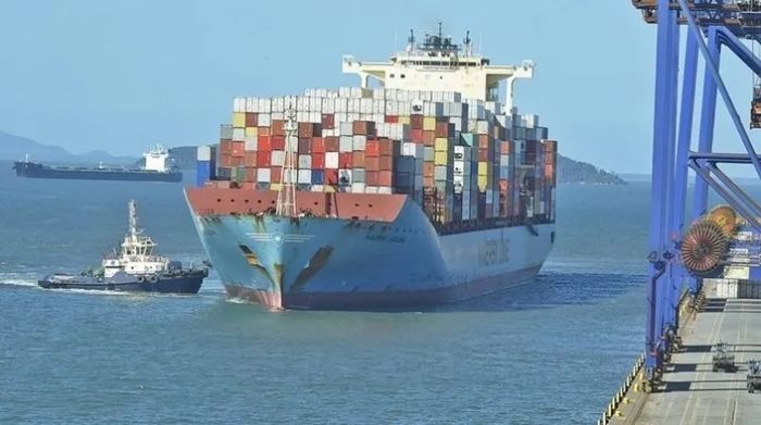 Exportação de óleo de soja fecha fevereiro em 224,4 mil toneladas
