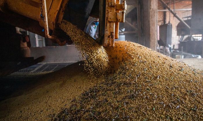 Quebra na Argentina deve elevar exportações e esmagamento de soja do Brasil