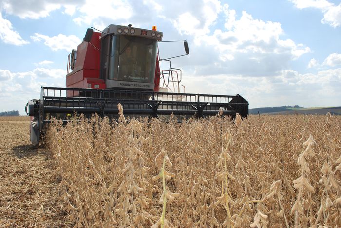 Safra menor na Argentina interrompe queda de preços da soja no Brasil