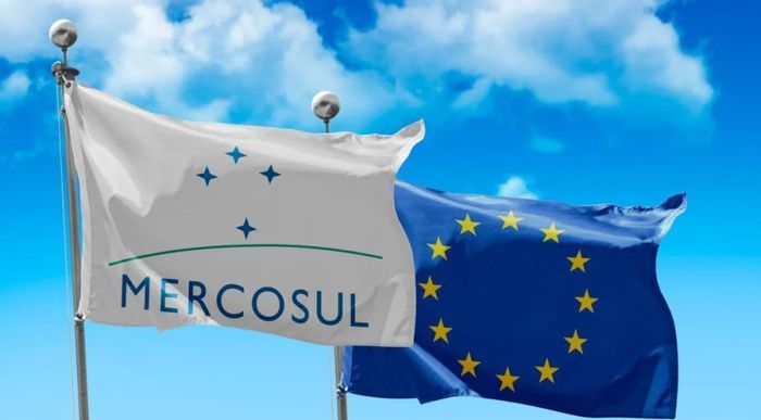 Nova política antidesmate da UE vira obstáculo para acordo comercial com Mercosul