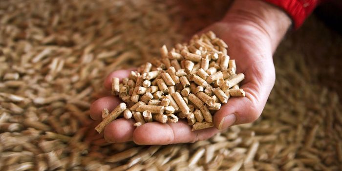 Pesquisa usa glicerina para melhorar qualidade de pellets 