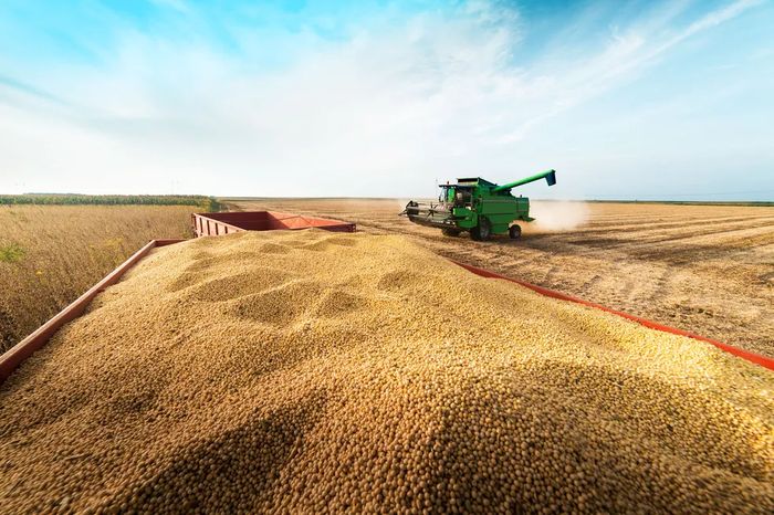 PIB da cadeia da soja e do biodiesel teria alcançado R$ 673,7 bi em 2022