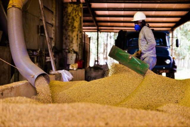 Abiove aumenta projeções para colheita e processamento de soja