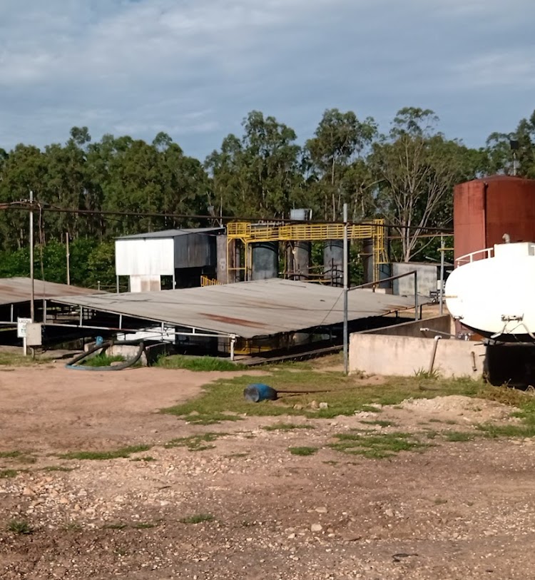 MT pode ganhar mais uma usina de biodiesel 