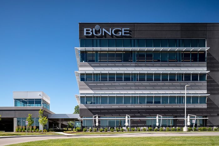 Bunge aumenta domínio de oleaginosas e potencial de diesel renovável após acordo com Viterra