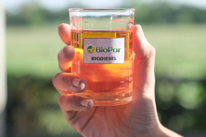 Duas novas usinas e 3 ampliações estão a caminho do mercado de biodiesel