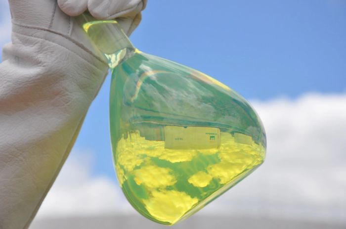 Diretor da Petrobras defende que diesel R tenha mandato adicional ao do biodiesel