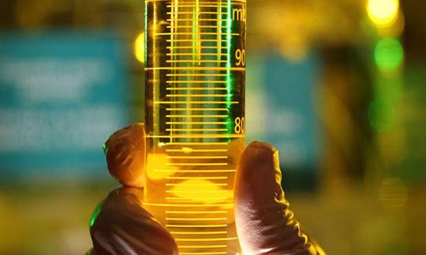 Margens do biodiesel ficaram negativas na última semana 