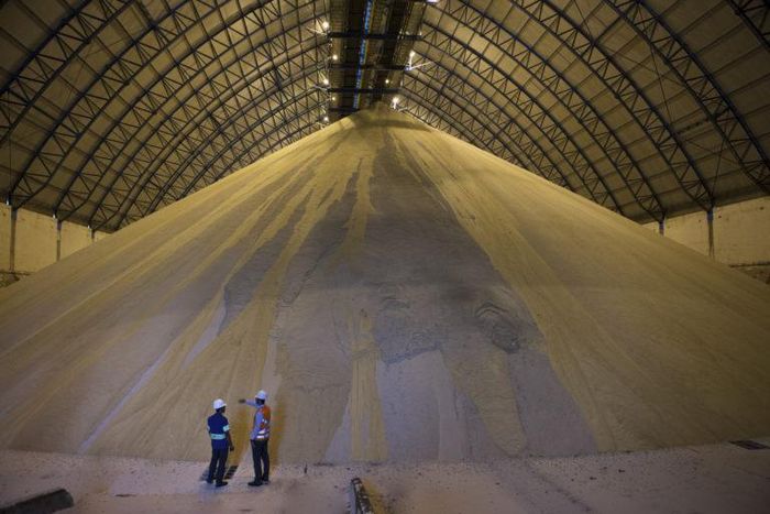 Pressão comercial acelera ações de rastreamento