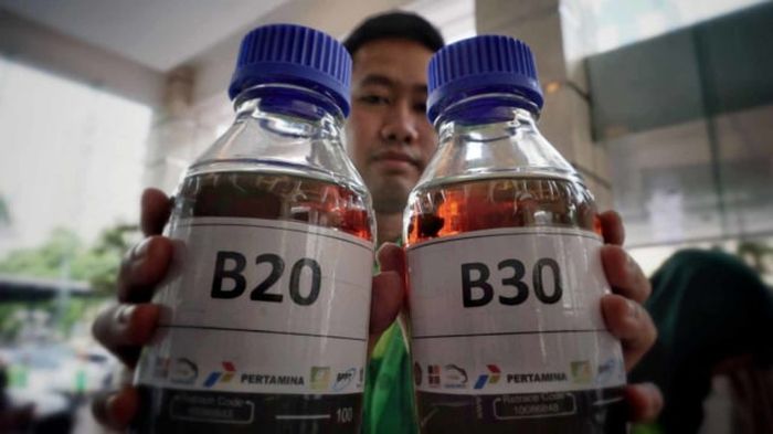 Produção de biodiesel na Indonésia somou 2,89 milhões de m³ no 2T