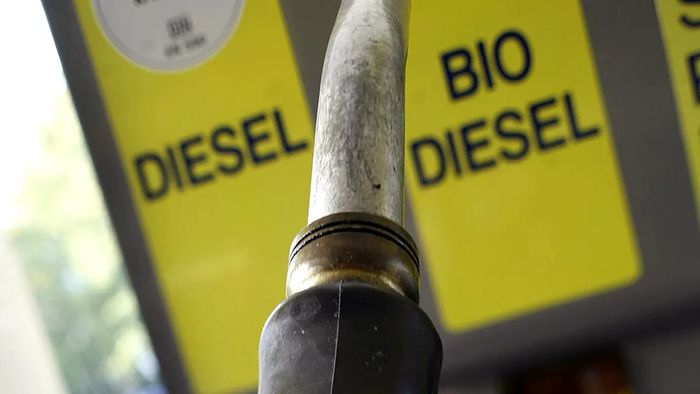 Alemanha consumiu 704 mil m³ de diesel de biomassa na 1T