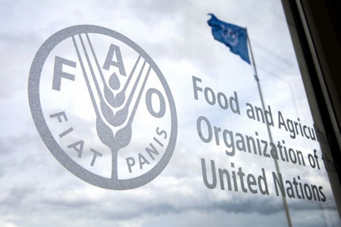 FAO: Preços dos óleos vegetais tiveram alta forte em julho
