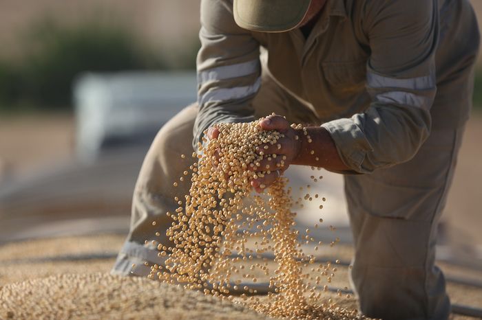 Óleo de soja é o produto com maior deflação acumulada, após subir 100% em 2020