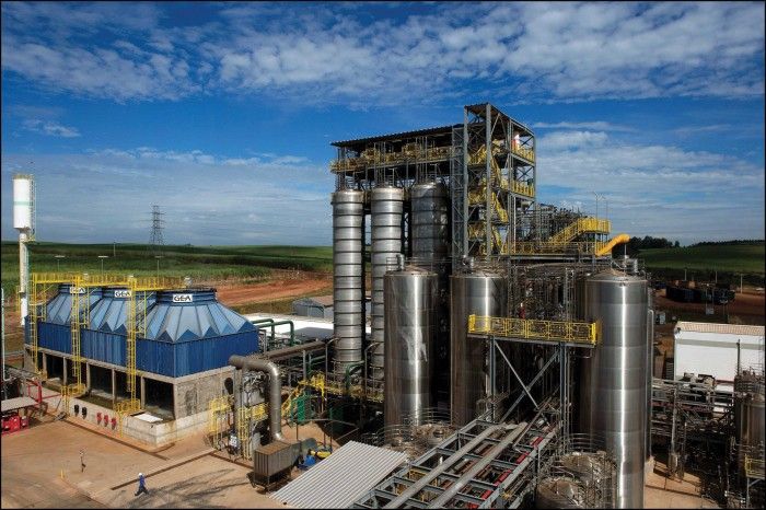Pioneira do diesel de cana, Amyris entra com pedido de recuperação judicial nos EUA
