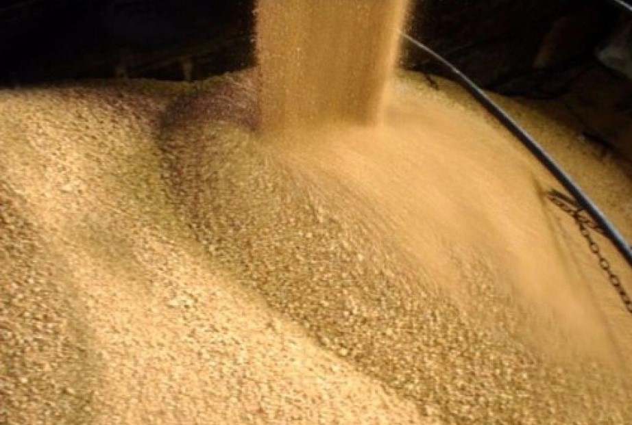 Brasil ultrapassa a Argentina e vira maior exportador de farelo de soja do mundo