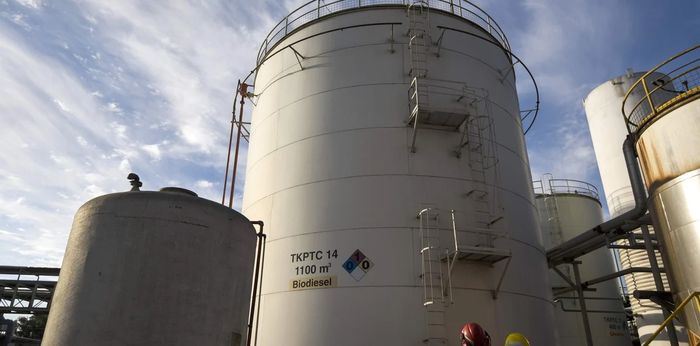 Produção brasileira supera 720 mil m³ em mês liderado pelo MT 