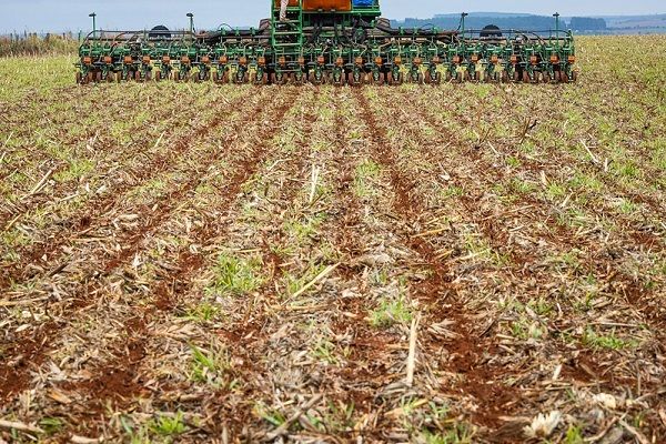 Ministério aprovou plantio antecipado de soja em Mato Grosso