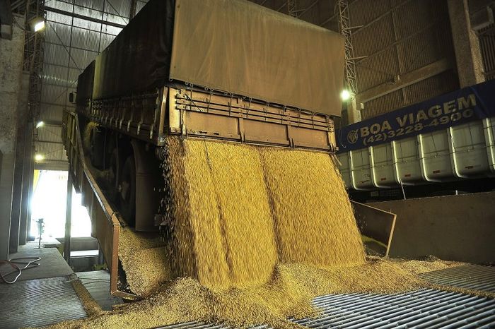 Indústria de óleos vegetais deve investir R$ 6 bi em 2024
