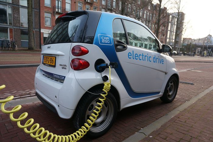 Marilyn Murphy - Pixabay