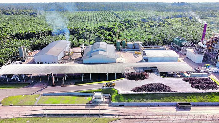BBF avança no combustível sustentável de aviação, mas enfrenta conflito fundiário
