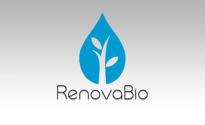 Renovabio: ANP acrescenta 3,48 milhões de CBios às metas das distribuidoras 