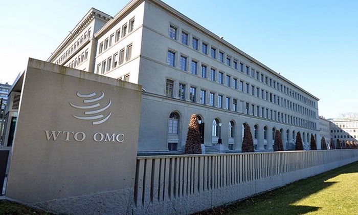 Divulgação - OMC