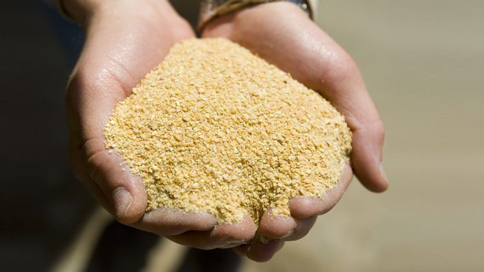 Divulgação - United Soybean Board