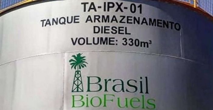 Divulgação - BBF