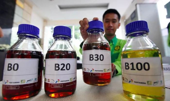Consumo de biodiesel na Indonésia sobe 16% no 1º bimestre Por Reuters