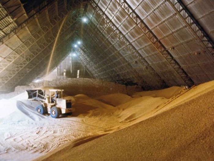 Mato Grosso registra recorde de esmagamento de soja em fevereiro de 2024
