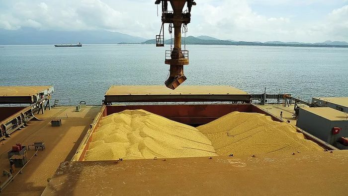 Apesar de safra menor, exportações de soja sustentam ritmo 