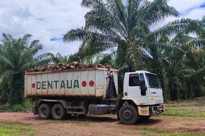 Agência Pará