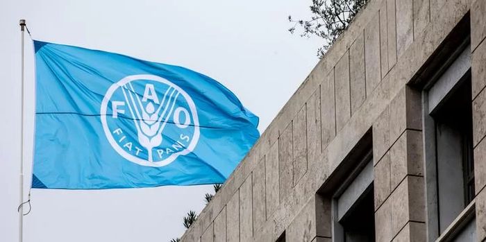 Alessandra Benedetti - FAO