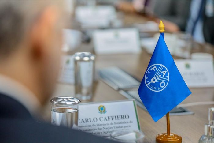 Reprodução - FAO