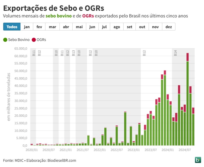20241113 SeboBovino Volumes