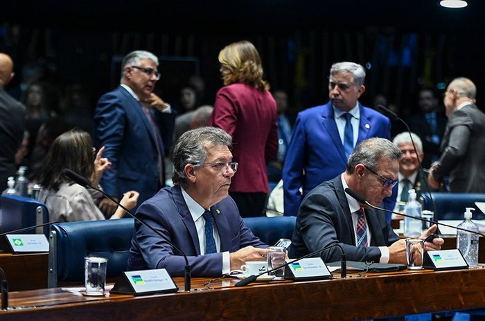 Andressa Anholete - Agência Senado