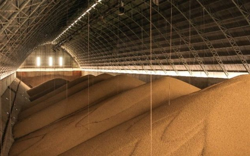 Conab corta em quase 5 de milhões de toneladas projeção para safra 23/24 de soja do Brasil