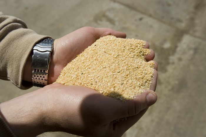 Divulgação - United Soybean Board
