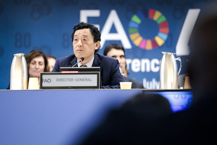 Giuseppe Carotenuto - FAO