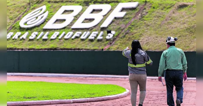 Divulgação - BBF 