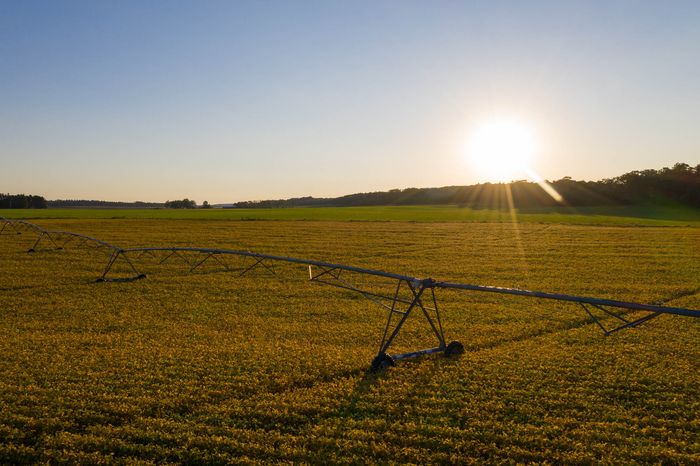Divulgação - United Soybean Board